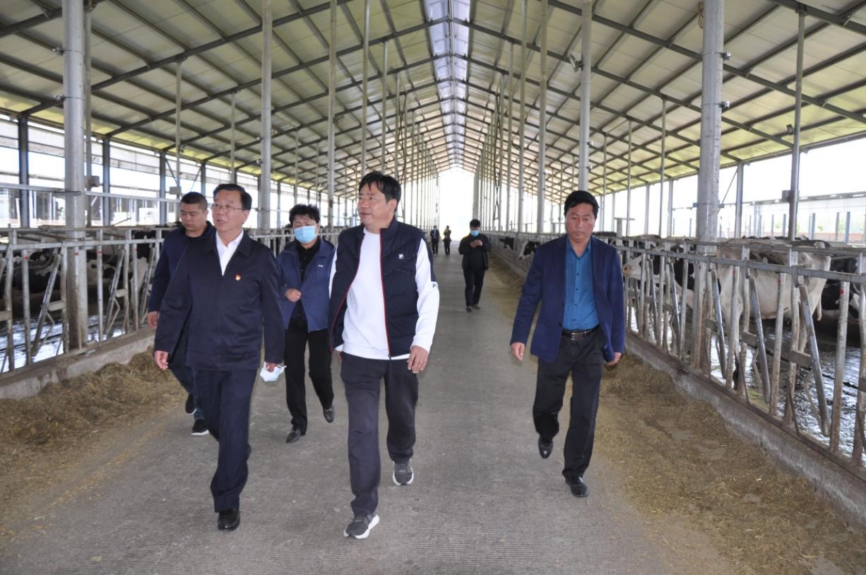 商丘市委常委、宣傳部部長王全周一行蒞臨睢縣瑞亞牧業有限公司調研